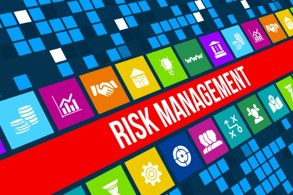 Financial risk management and planning