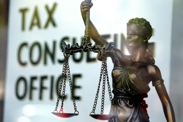 Tax consultant